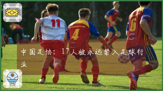 中国足协:17人被永远禁入足球行业